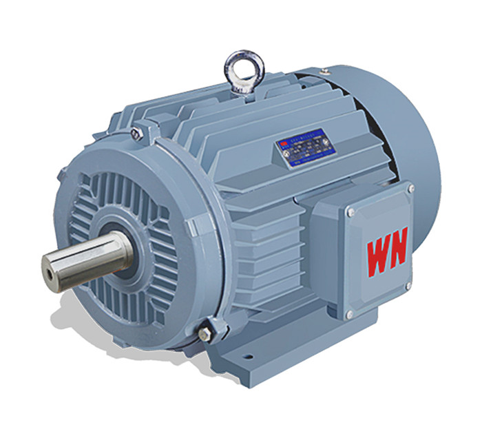 3 induction motor