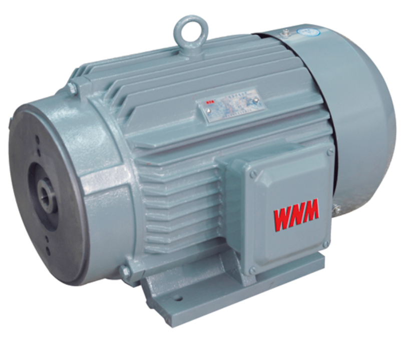 Электродвигатель m4. Haizhou electrical Machinery co Ltd Induction Motor.